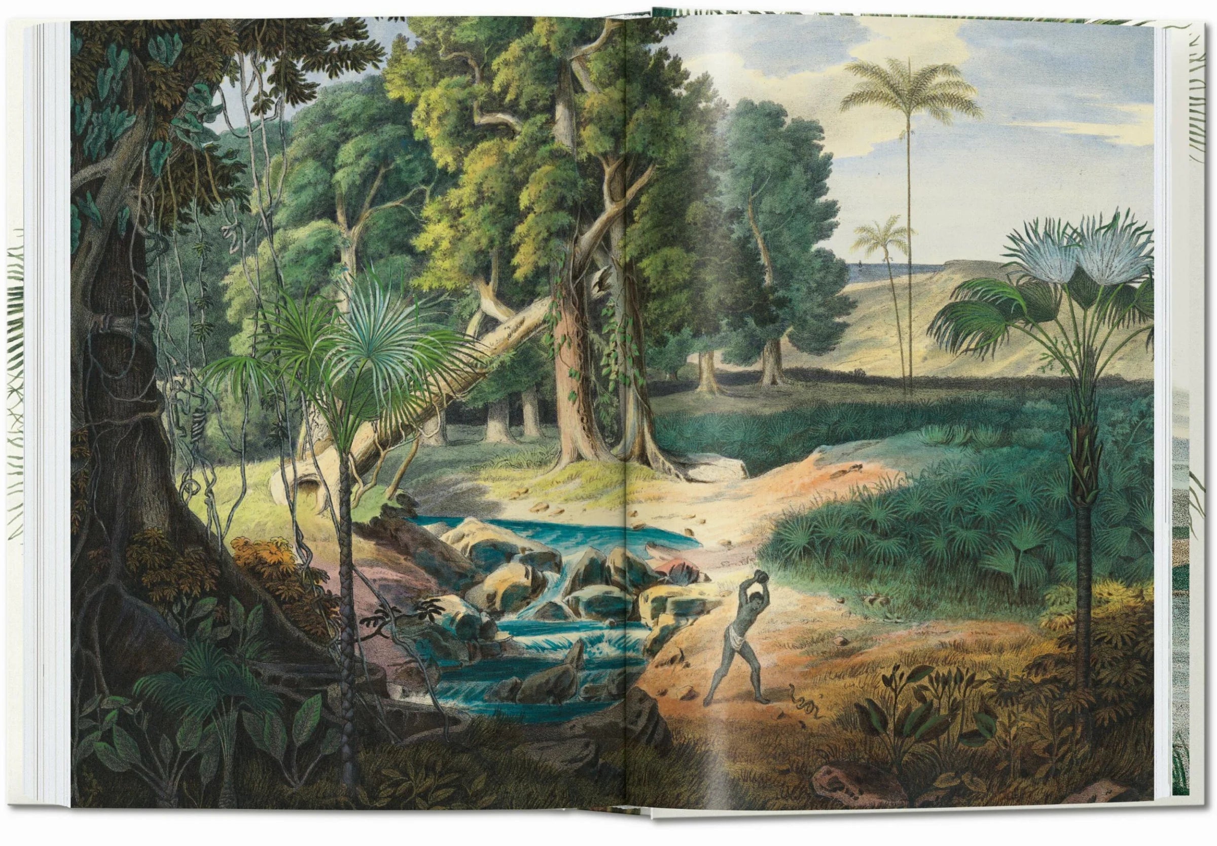 The Book of Palms Small