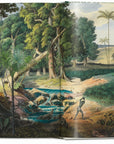 The Book of Palms Small