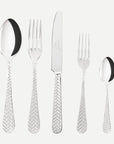 SABRE Nata Stainless Steel 5 Piece Setting