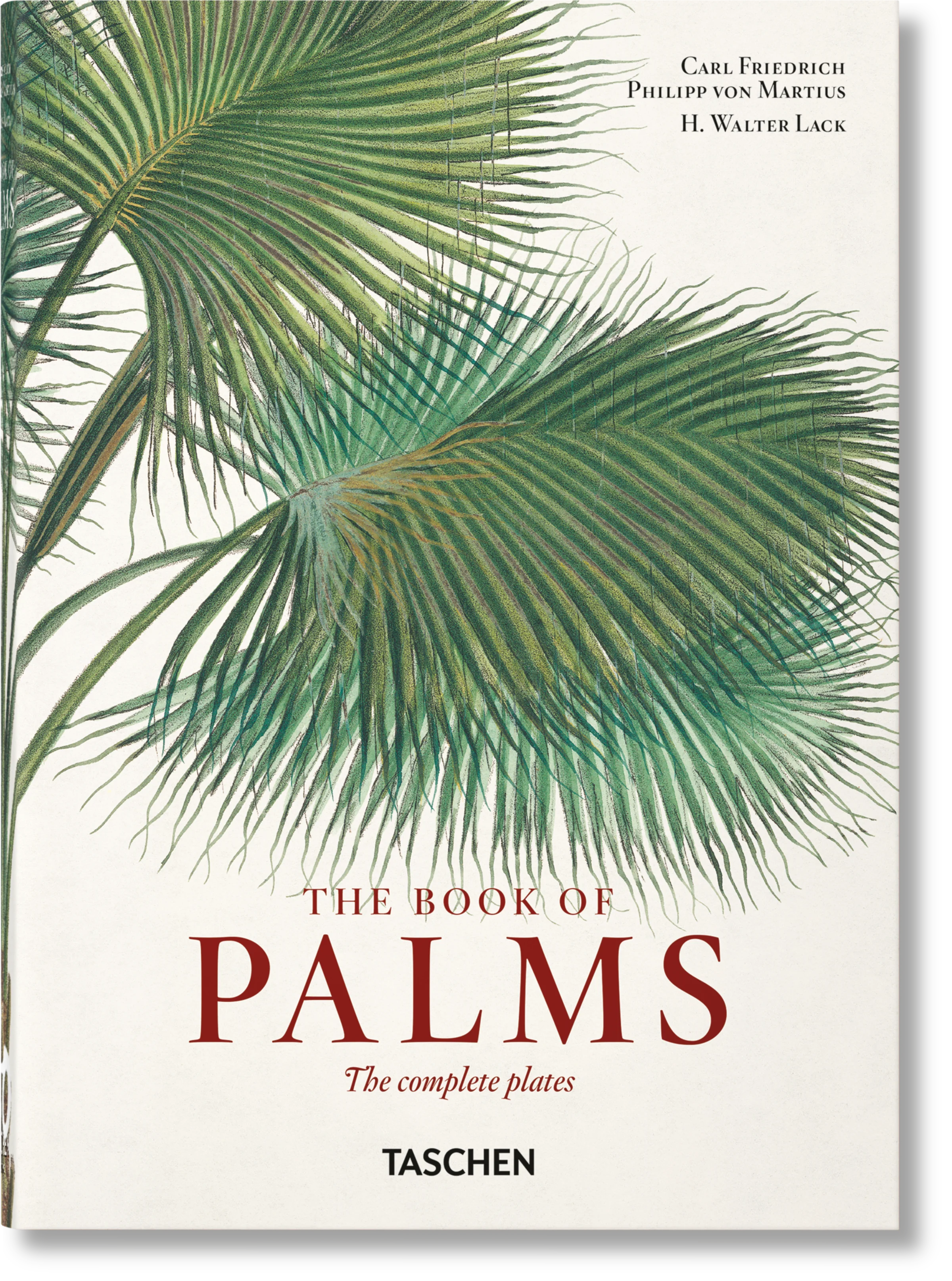 The Book of Palms Small