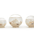 Sea Life Globe