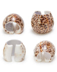 Tiger Cowrie Shell Napkin Rings-Set/4