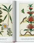 Cabinet of Natural Curiosities Large