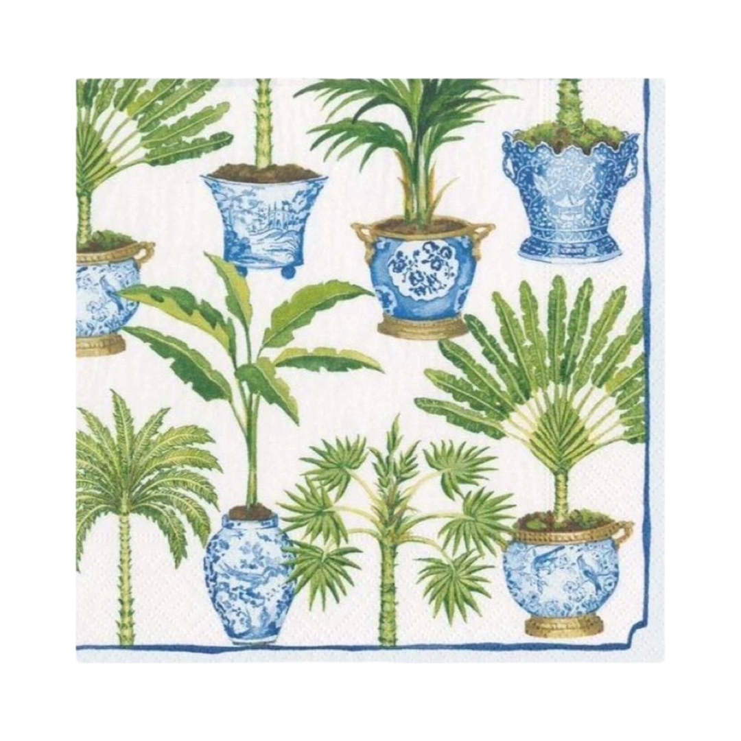 Potted Palms White Cocktail