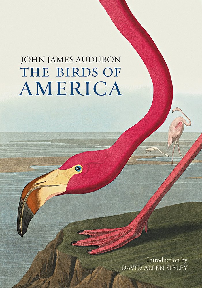 Audubon's Birds of America