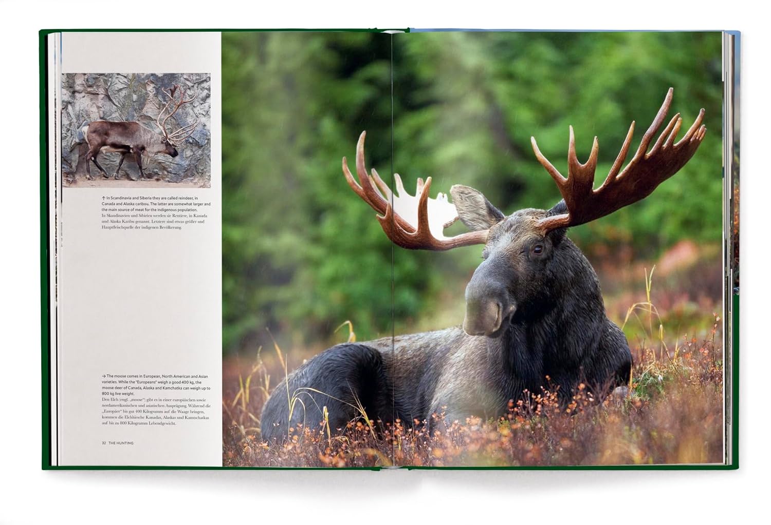 Hunting-The Ultimate Book