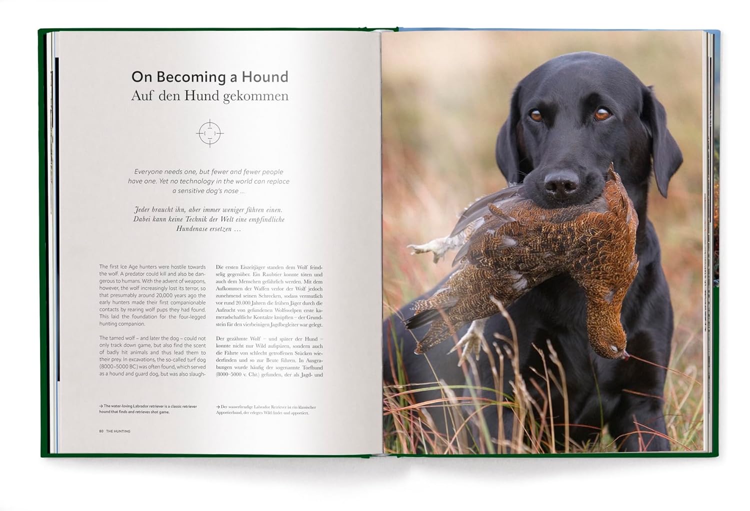 Hunting-The Ultimate Book