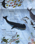 The Big Book Of The Blue