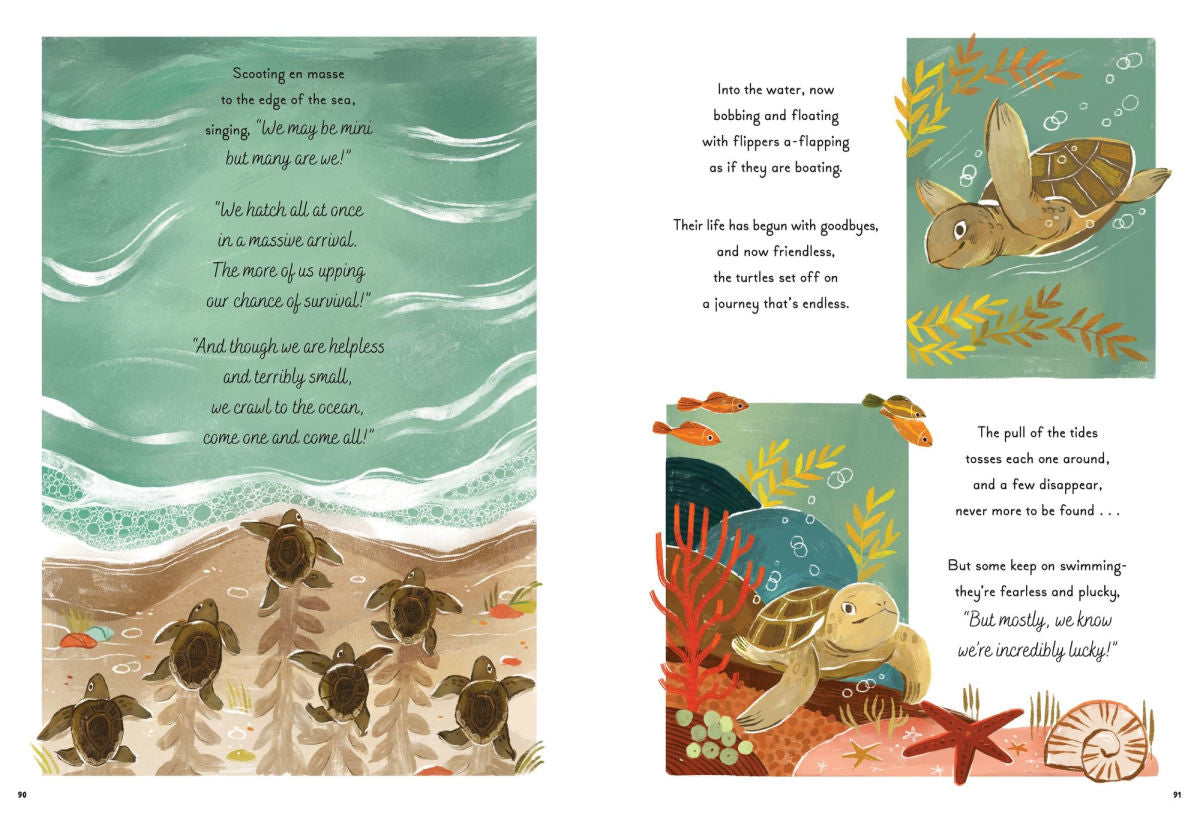 5-Minute Ocean Stories