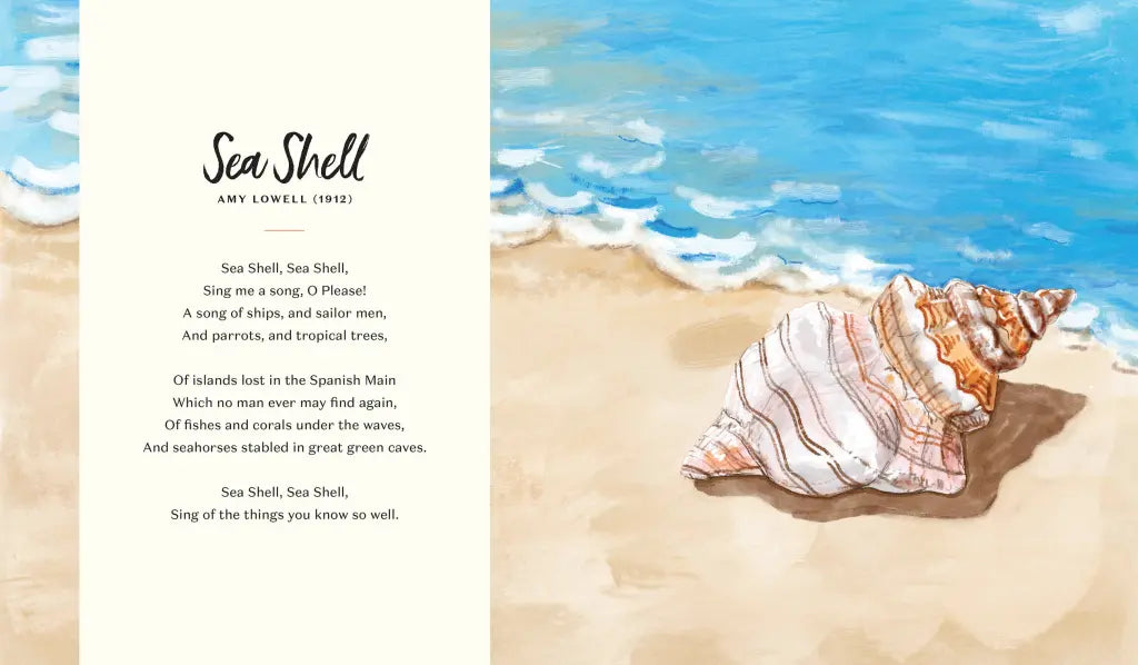 Searching For Seashells