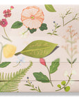 Karen Adams 2026 Classic Calendar Refill