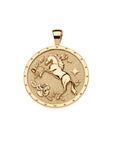 JANE WIN Courage Year of the Horse Original Coin on Drawn Link Chain