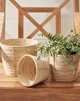 Cane Rattan Mini Round Baskets, Set/3