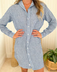 FRANK & EILEEN Mary Shirtdress Blue/Navy Stripe