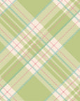 Bright Green Plaid Cocktail Napkins Set/20
