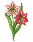 Amaryllis Table Accent-Set/12