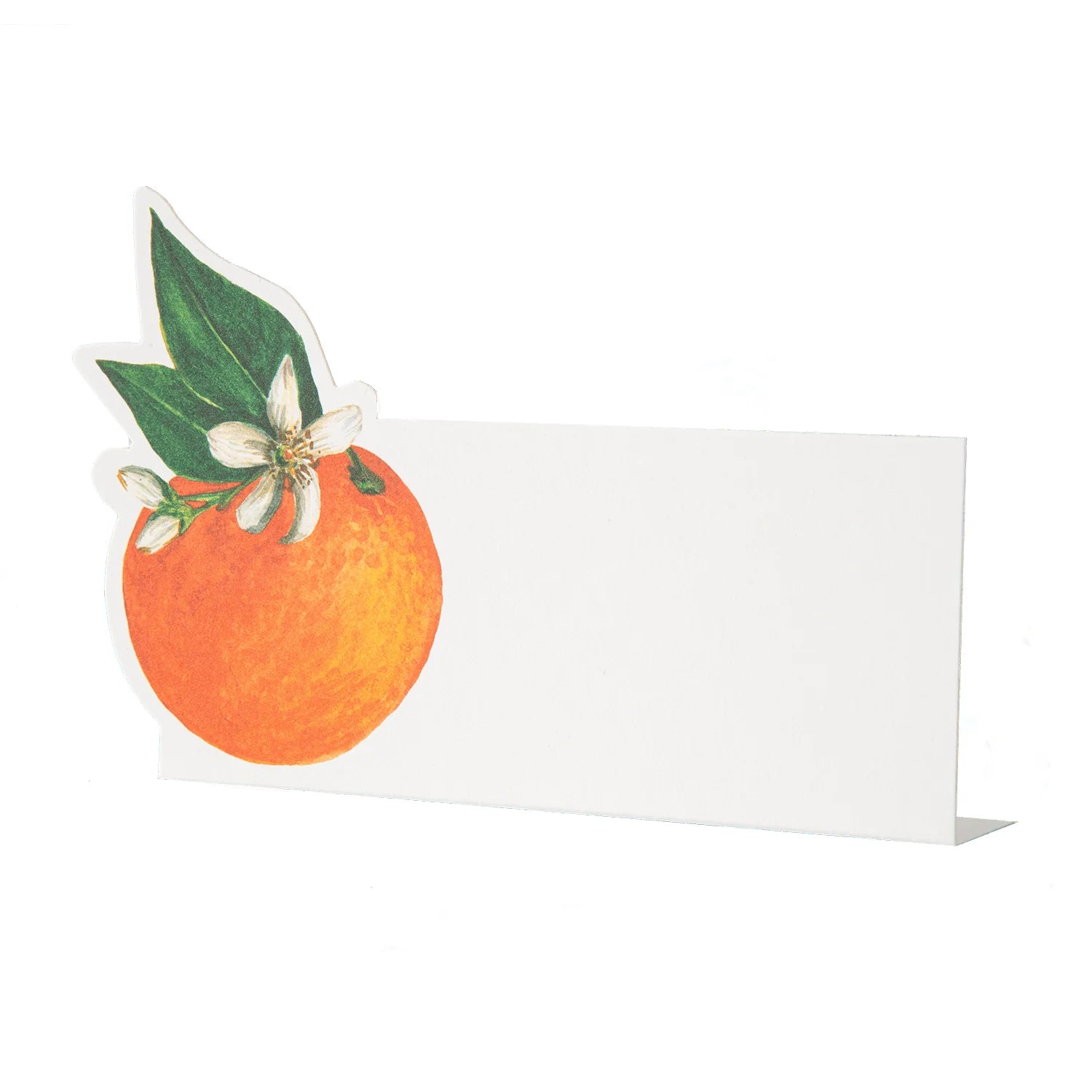 Orange Orchard Place Card Set/12