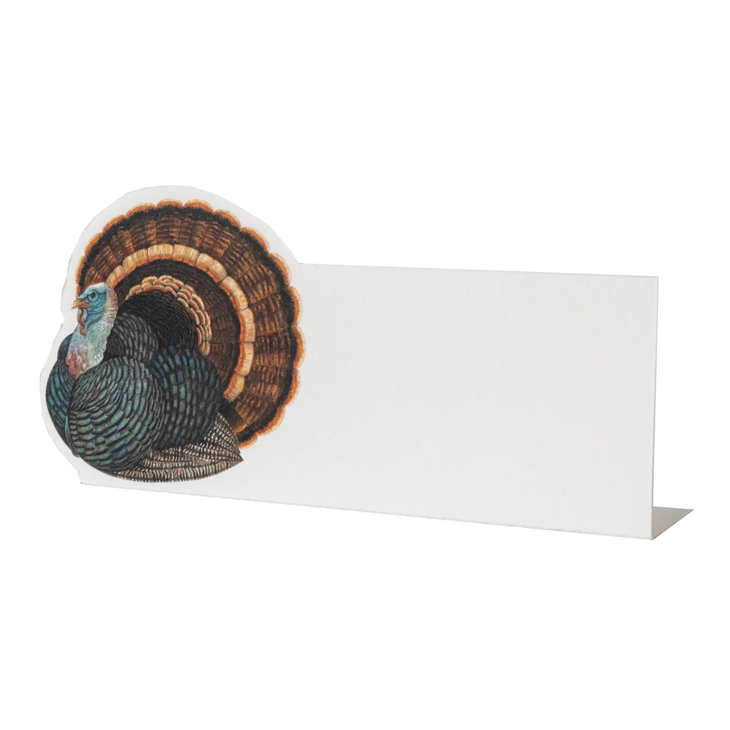 Heritage Turkey Place Card-Set/12