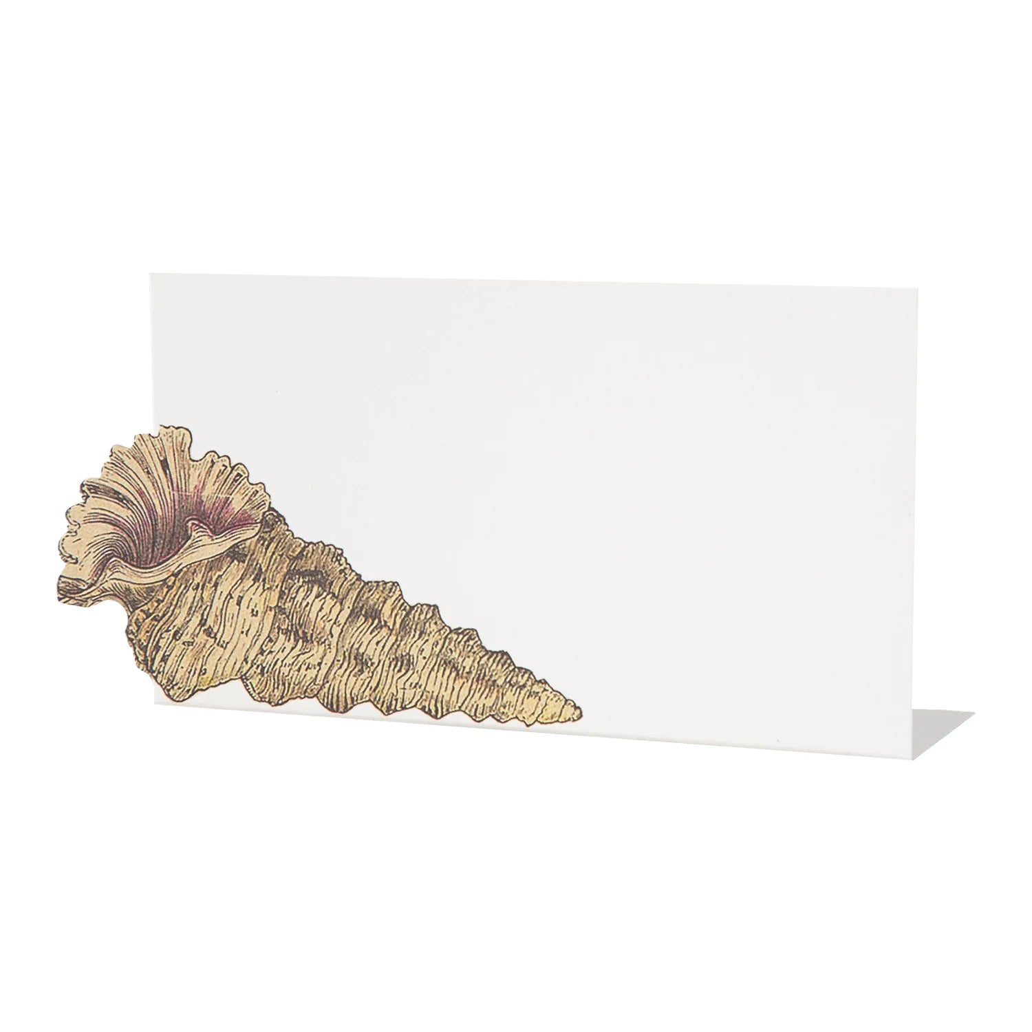 Shell Place Card Set/12