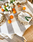BERTOZZI Rigato Canapa Tablecloth 69X126