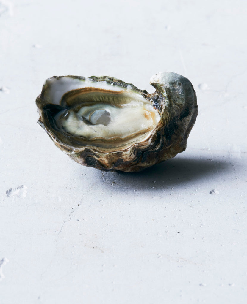 Essential Oyster