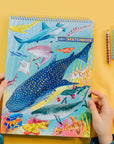 Shark Sketchbook