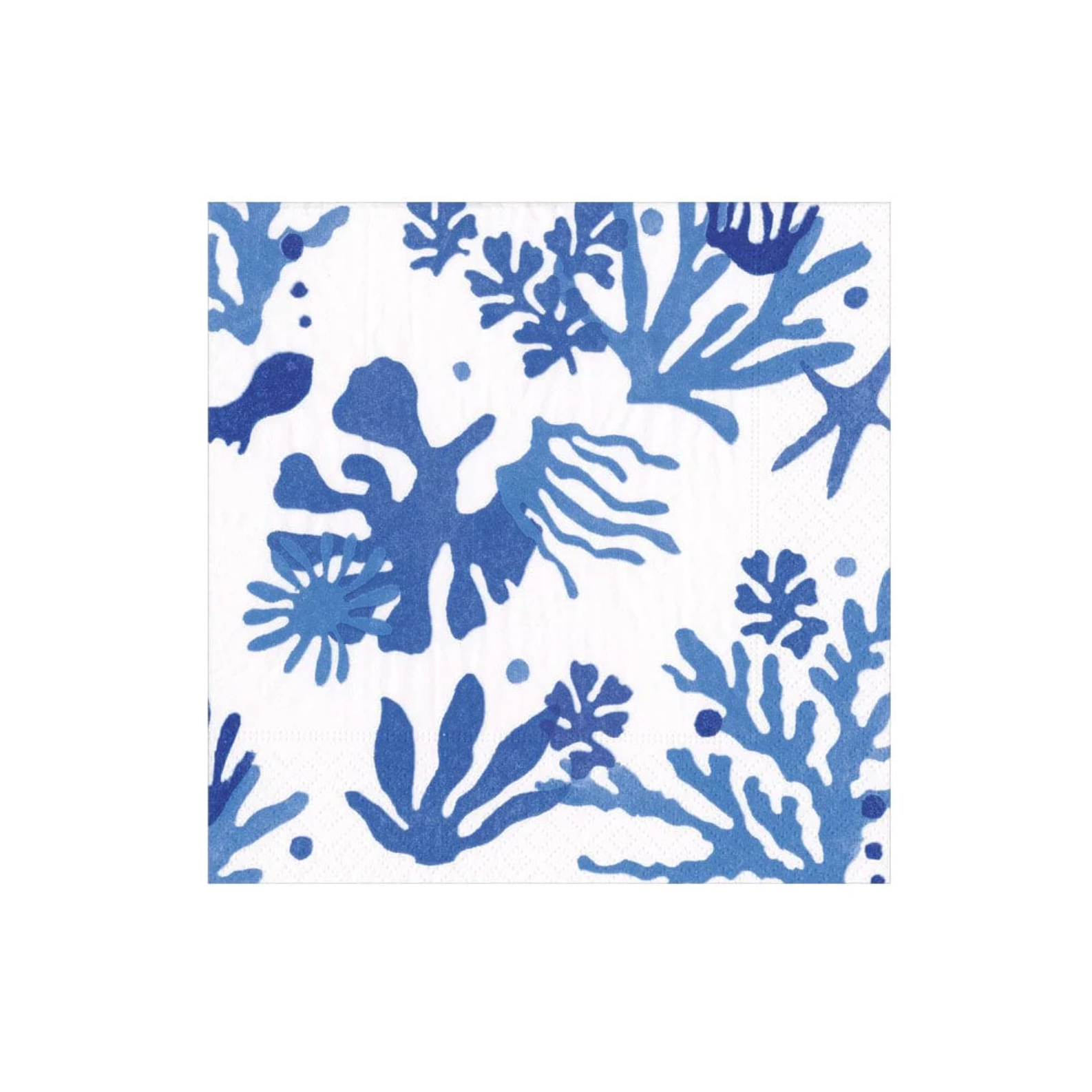 Matisse Coral Blue Cocktail