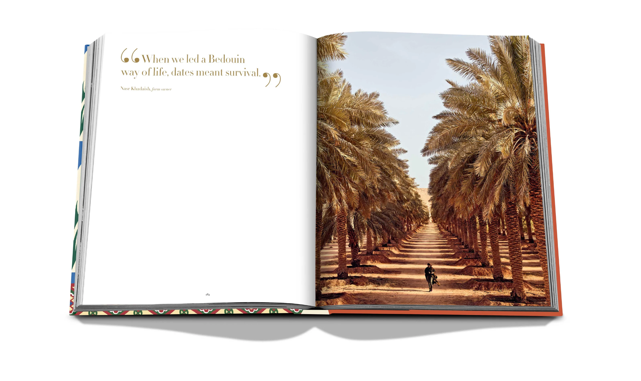 Saudi Dates: A Portrait of the Sacred Fruit