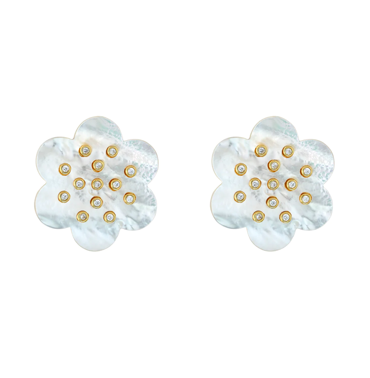 ASHA Camellia Stud