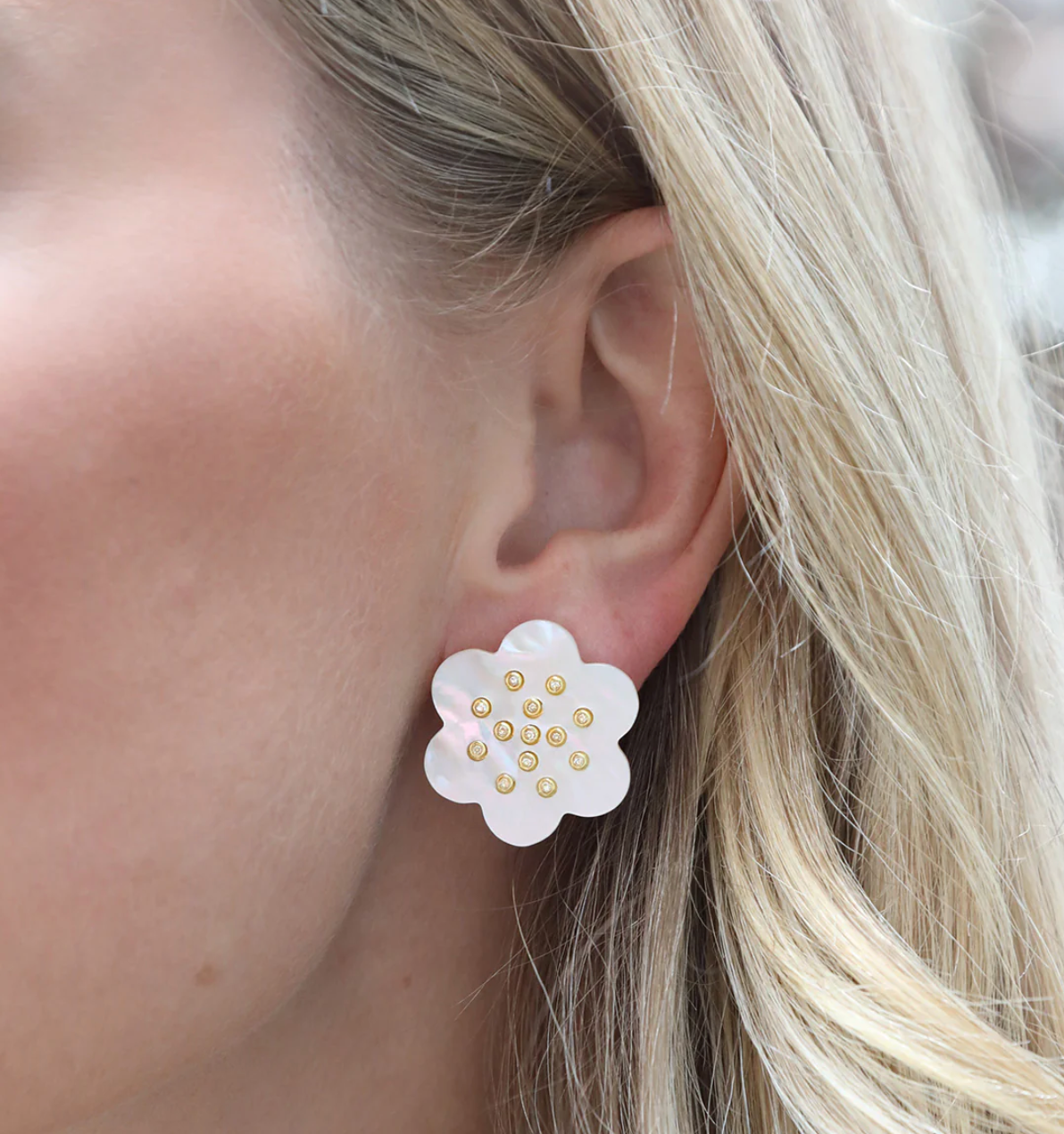 ASHA Camellia Stud