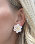 ASHA Camellia Stud