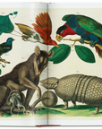 Cabinet of Natural Curiosities Large