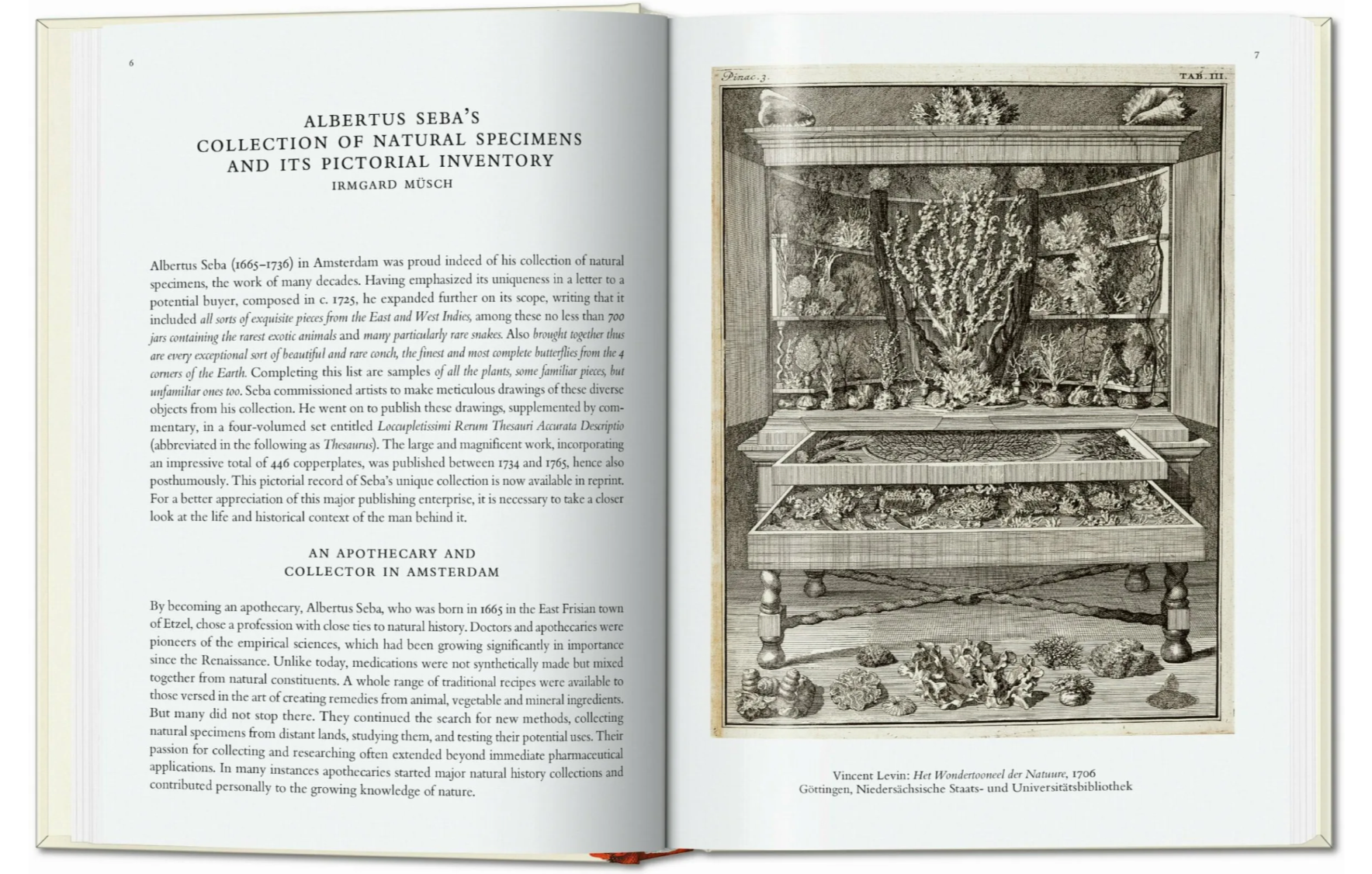 セバ著　Cabinet of Natural Curiosities25th CABINET OF NATURAL CURIOSITIES by Albertus Seba Nature