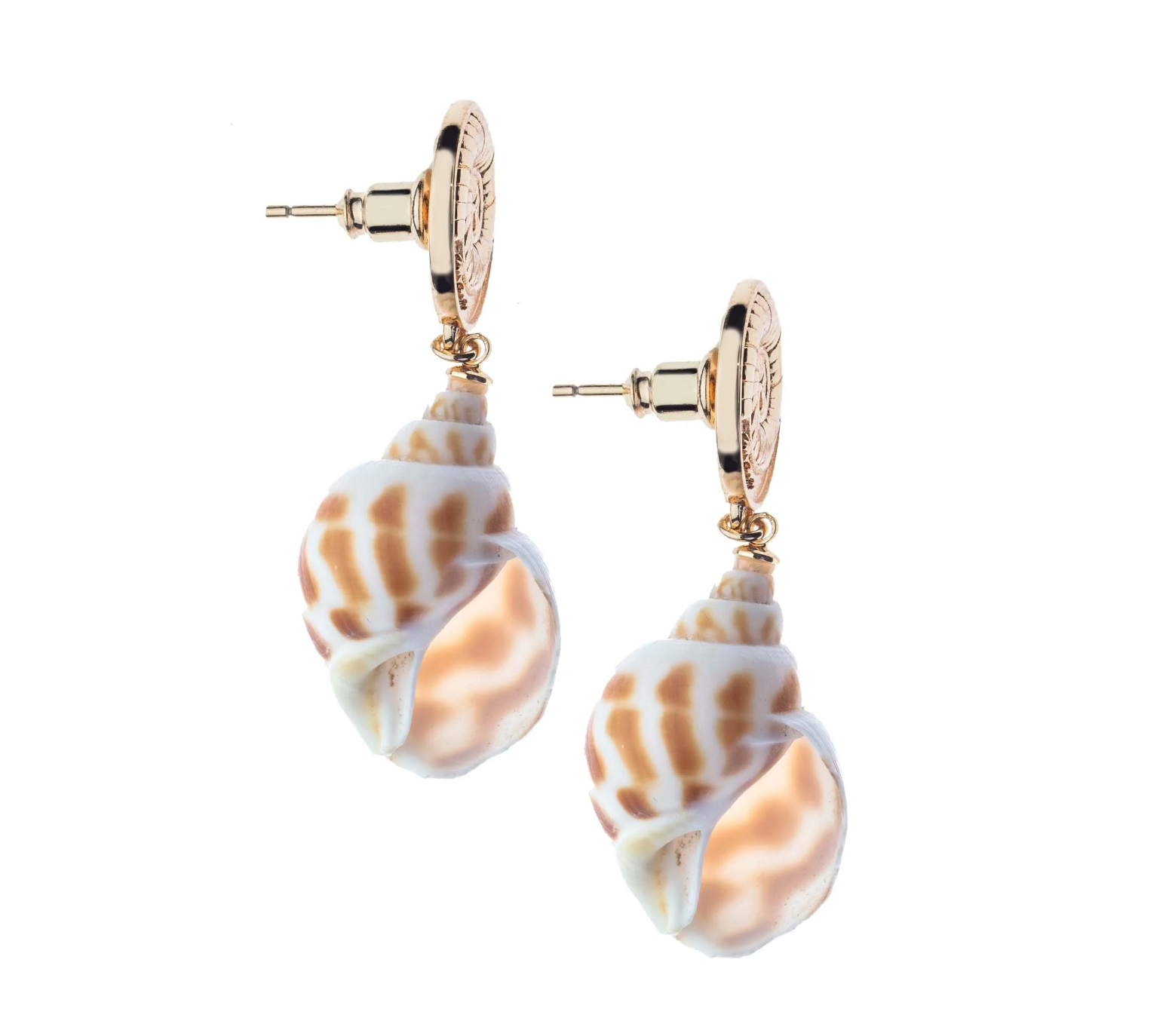 JANE WIN Inspiration Shell Drop Earrings