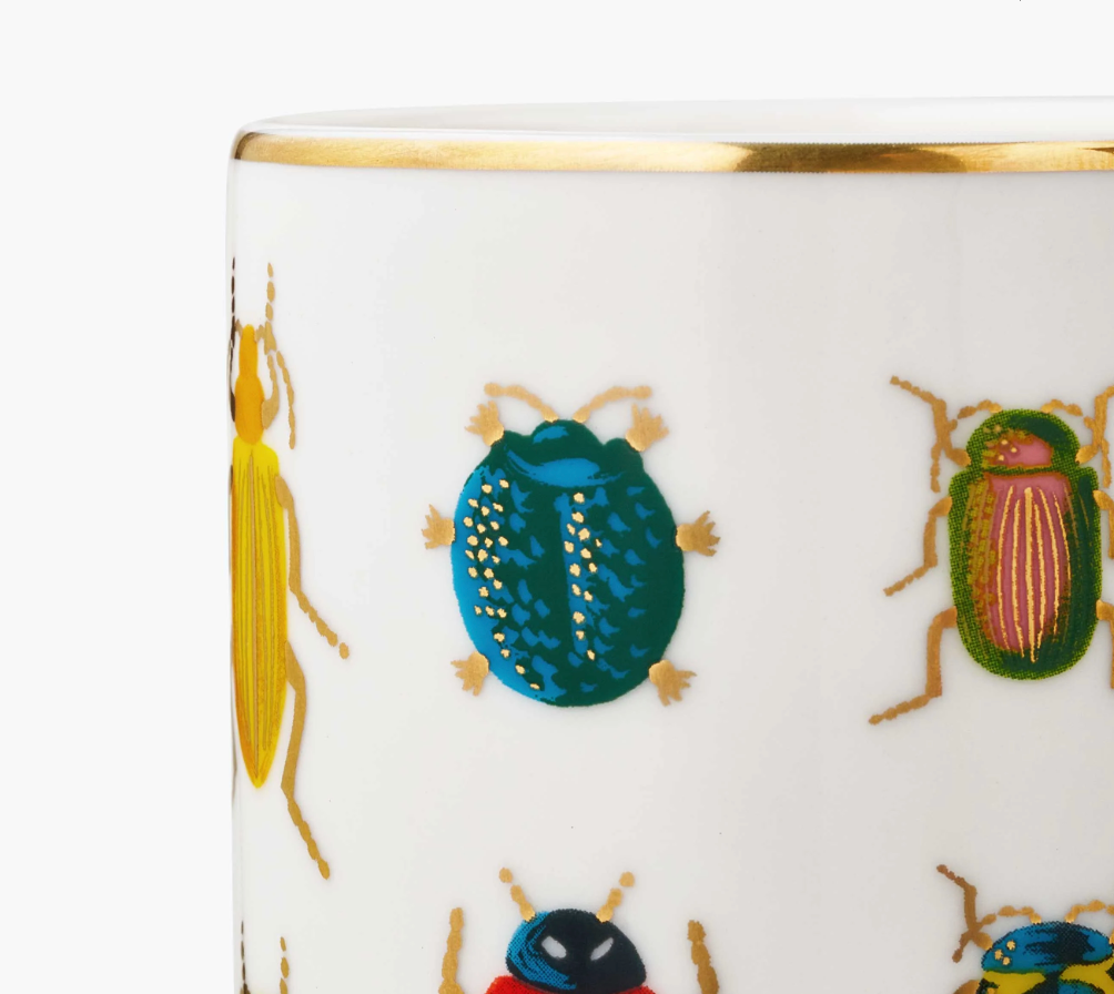 RIFLE PAPER CO. Porcelain Vase Beetles & Bugs