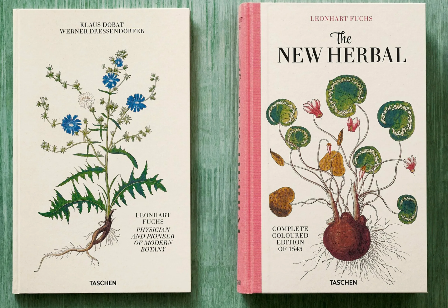 Leonhart Fuchs: The New Herbal