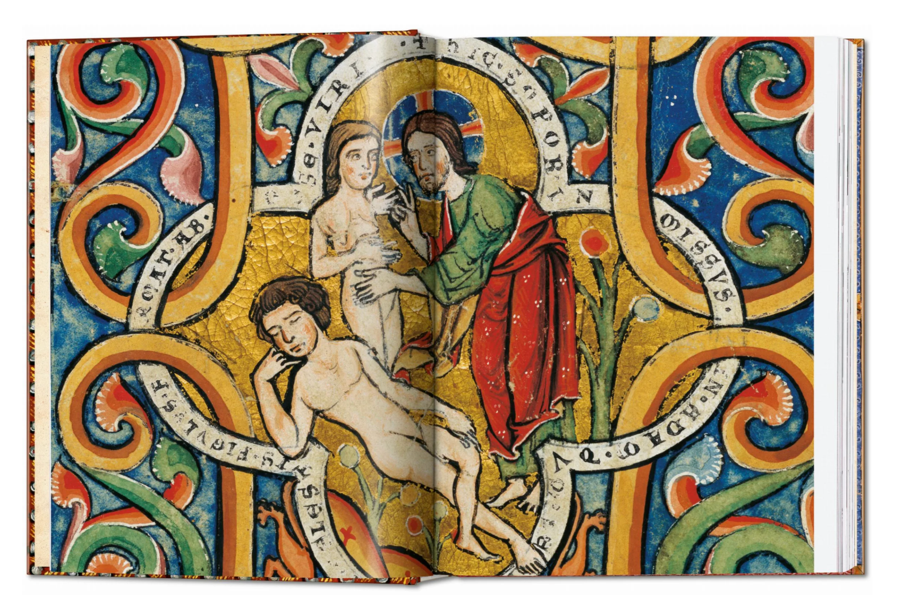 The Book of Bibles
