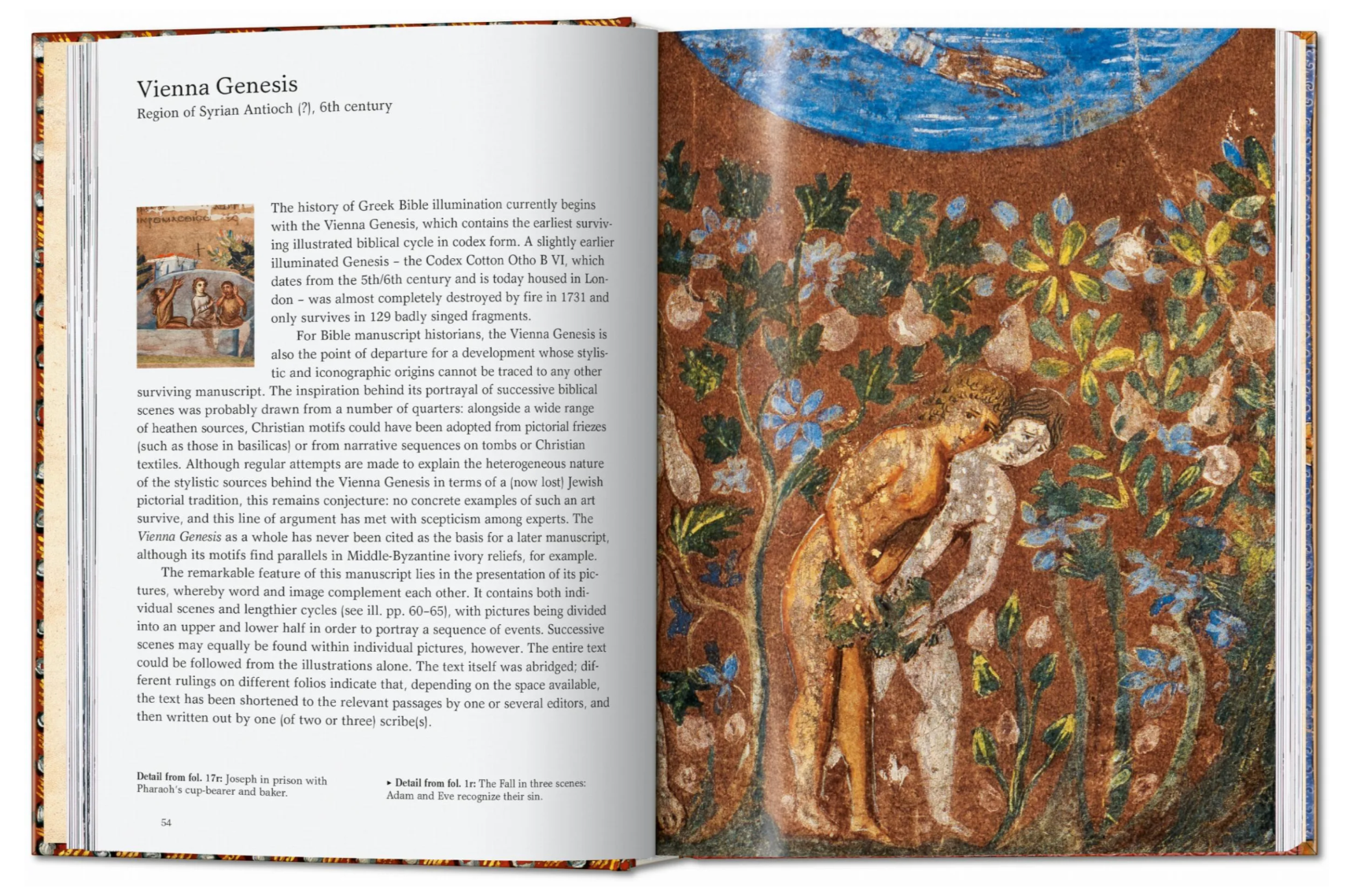 The Book of Bibles