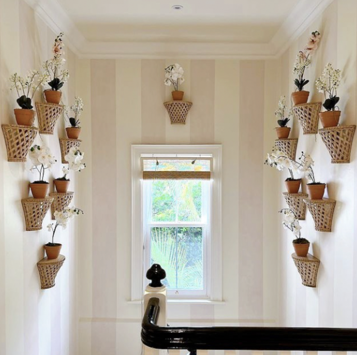 Trellis Wall Bracket