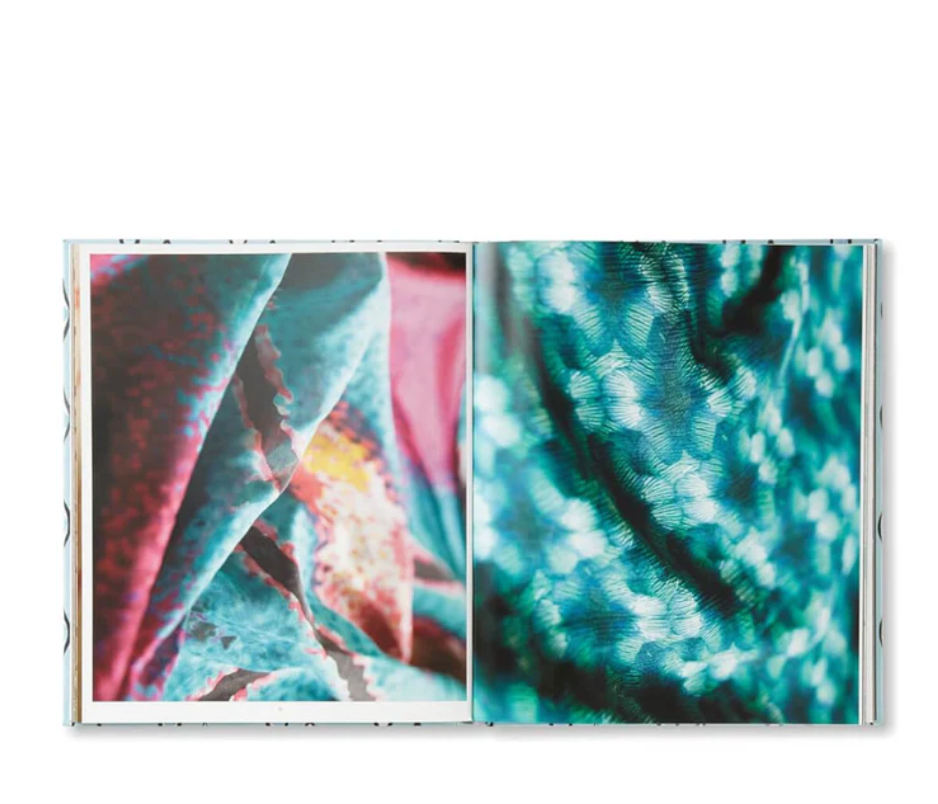 ALLEGRA HICKS: An Eye For Design
