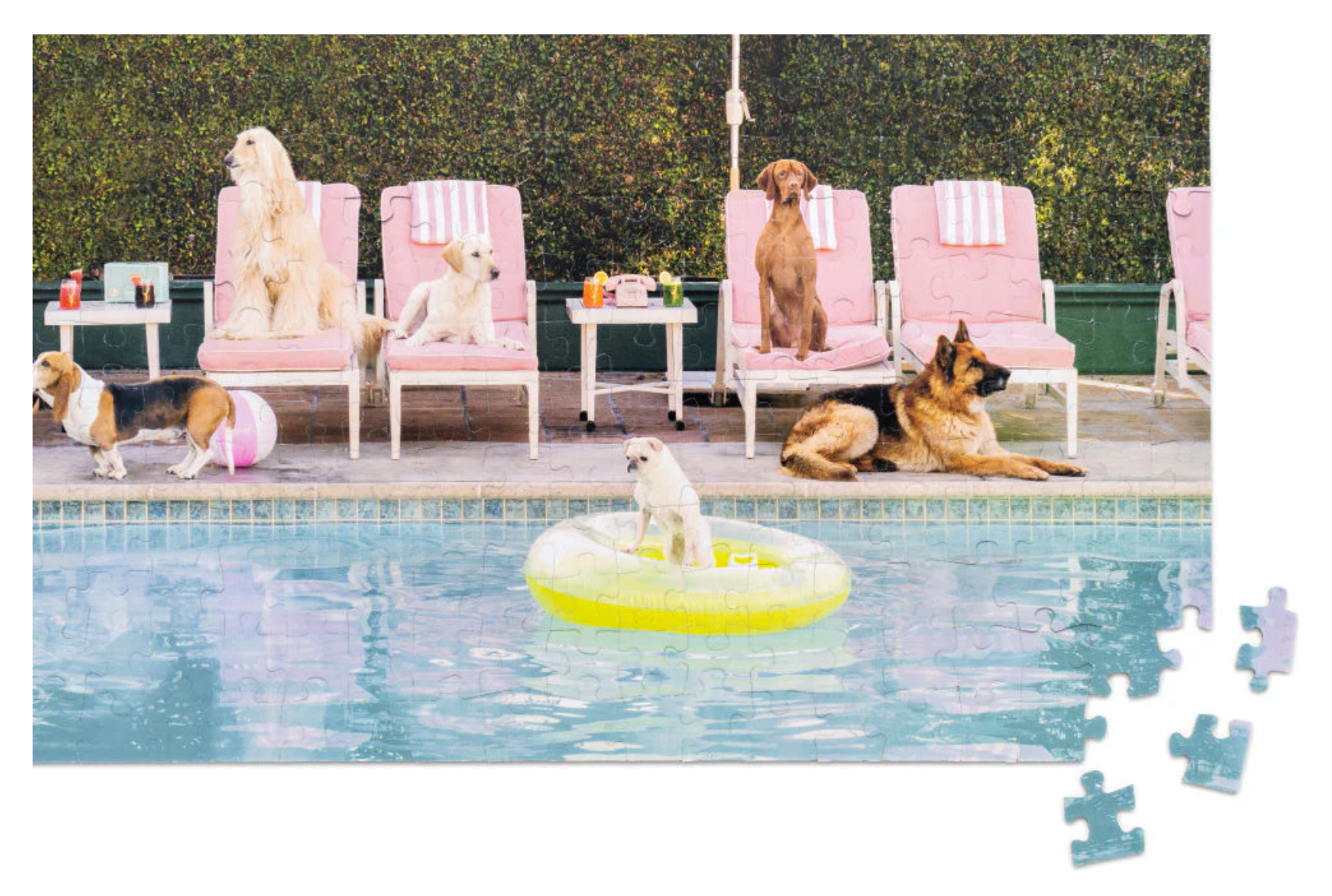 GRAY MALIN The Dogs at The Beverly Hills Hotel Two-Sided Puzzle