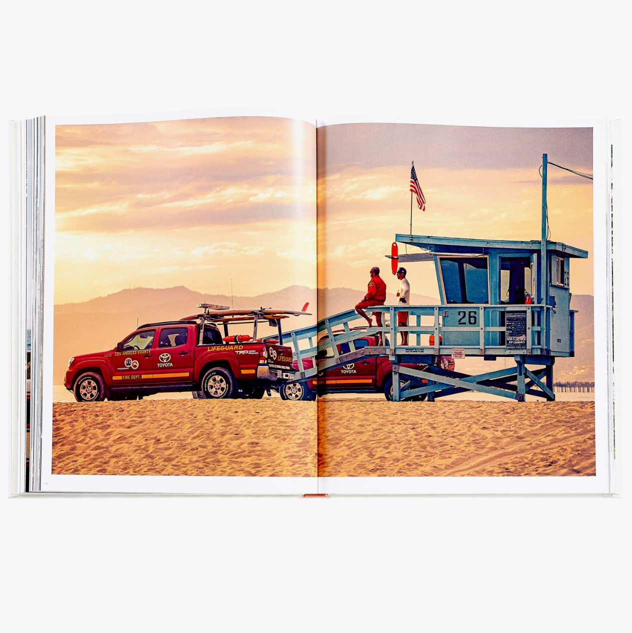 Beach Life