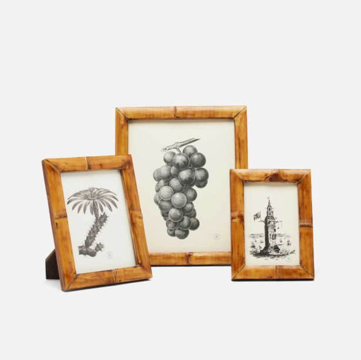 Greely Bamboo Frame