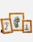Greely Bamboo Frame
