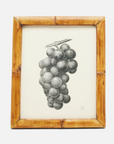 Greely Bamboo Frame