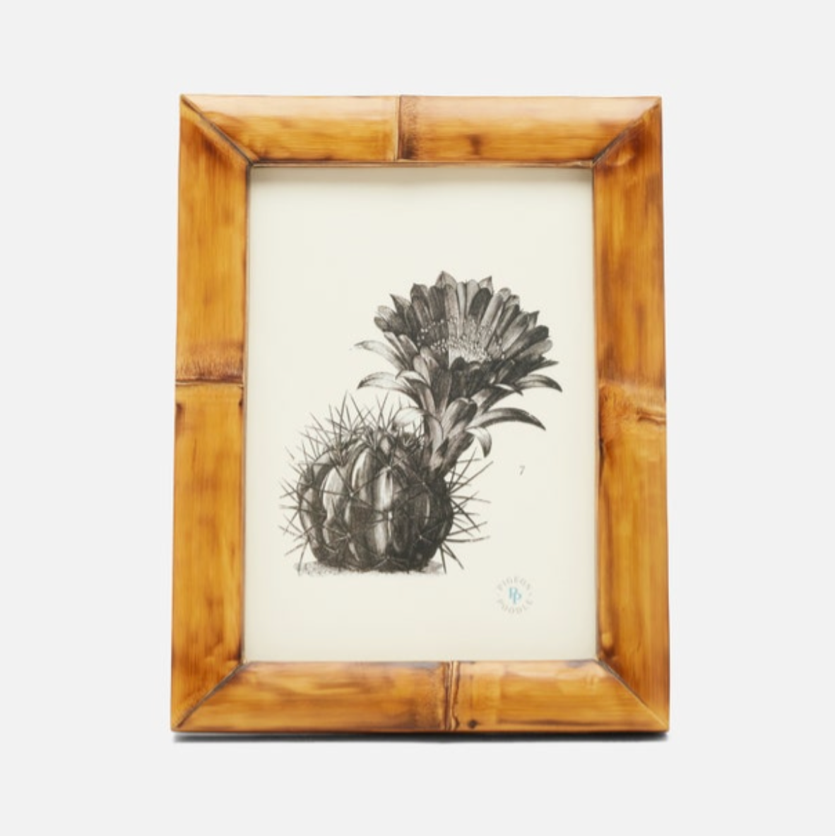 Greely Bamboo Frame