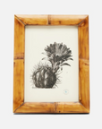 Greely Bamboo Frame