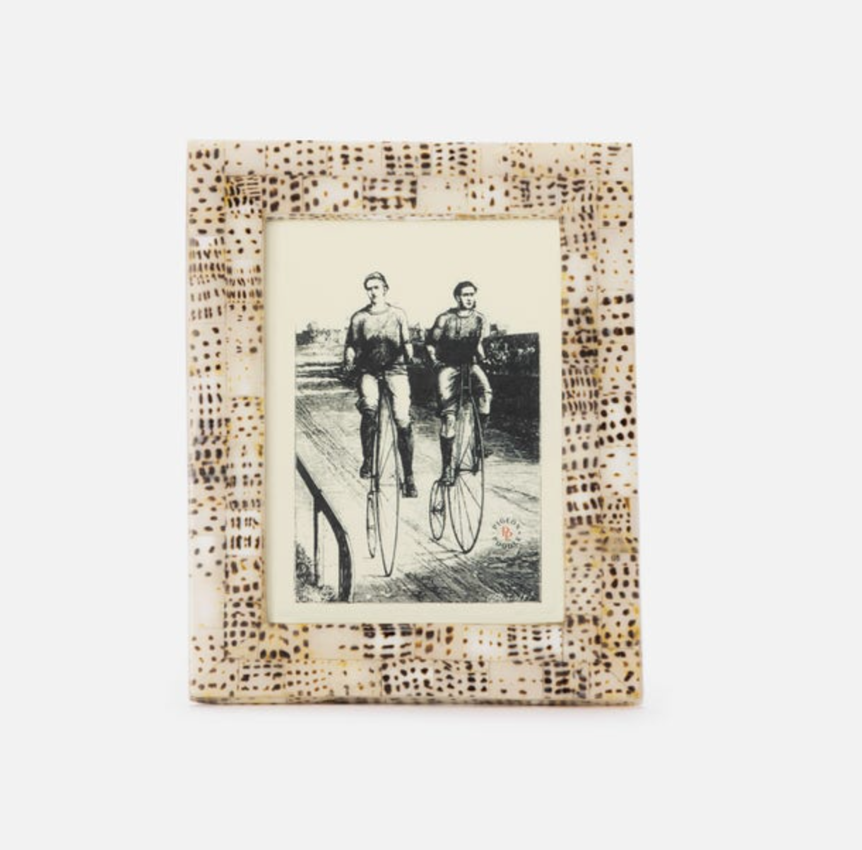 Mombasa Tiger Cowrie Frame