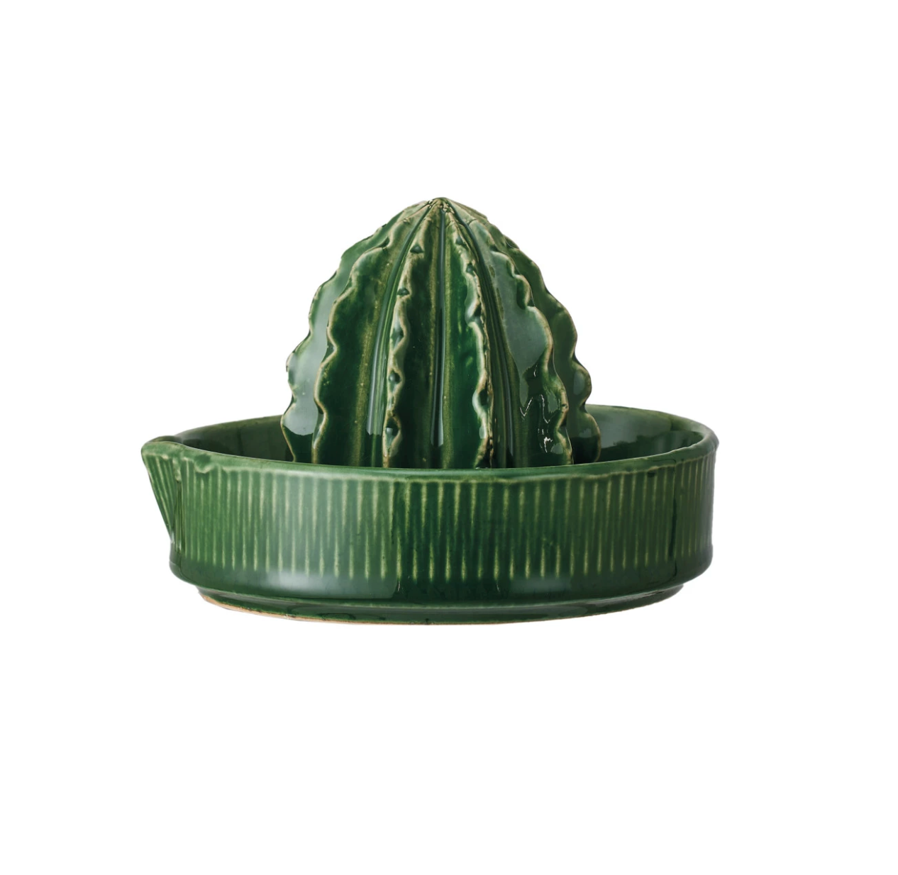 Cactus Juicer