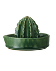Cactus Juicer